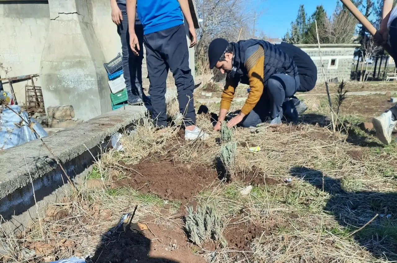 Siverek Bayırözü Ortaokulu’nda Lavanta Fidanları Ekildi