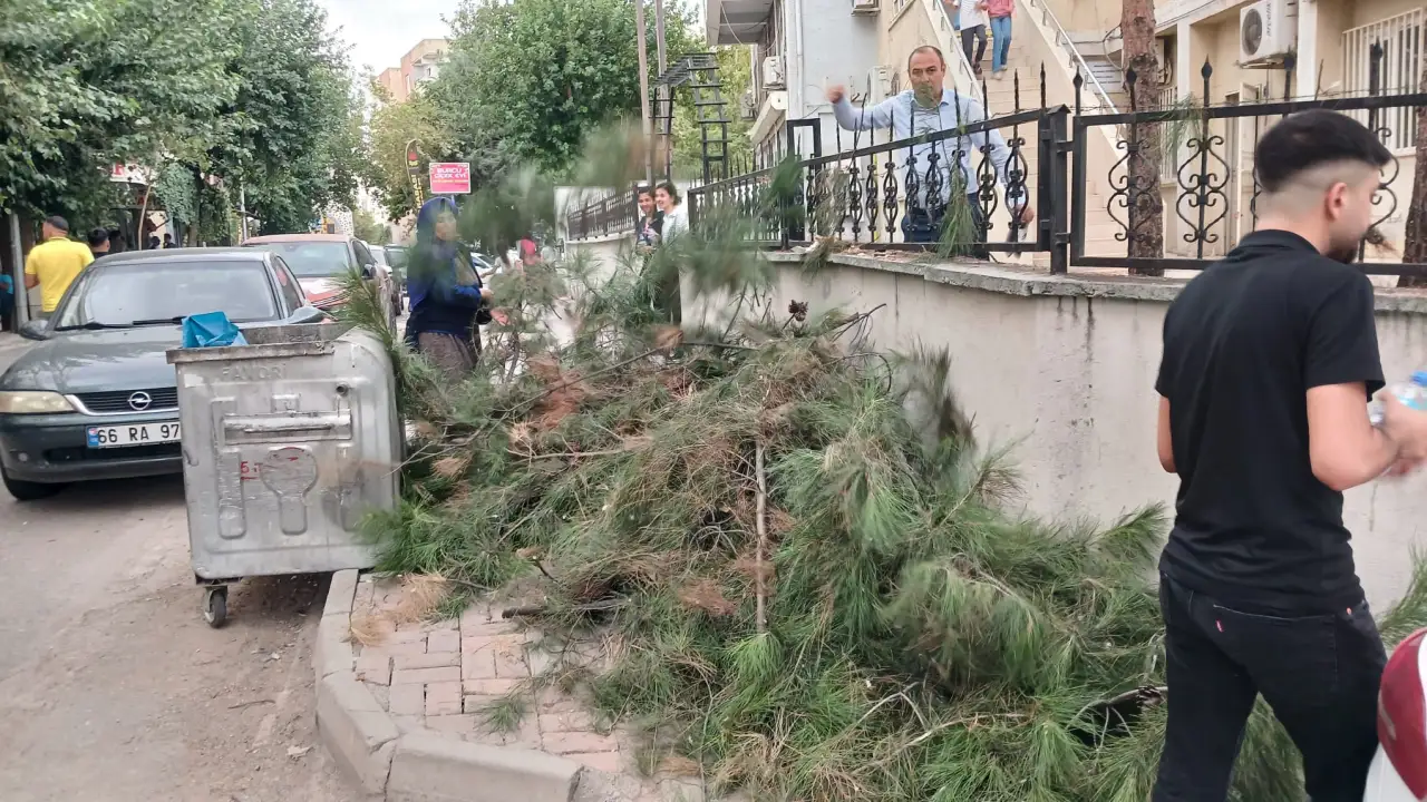 Siverek Belediyesinin Budama Çalışmaları Yoksul Ailelere Destek Sağladı