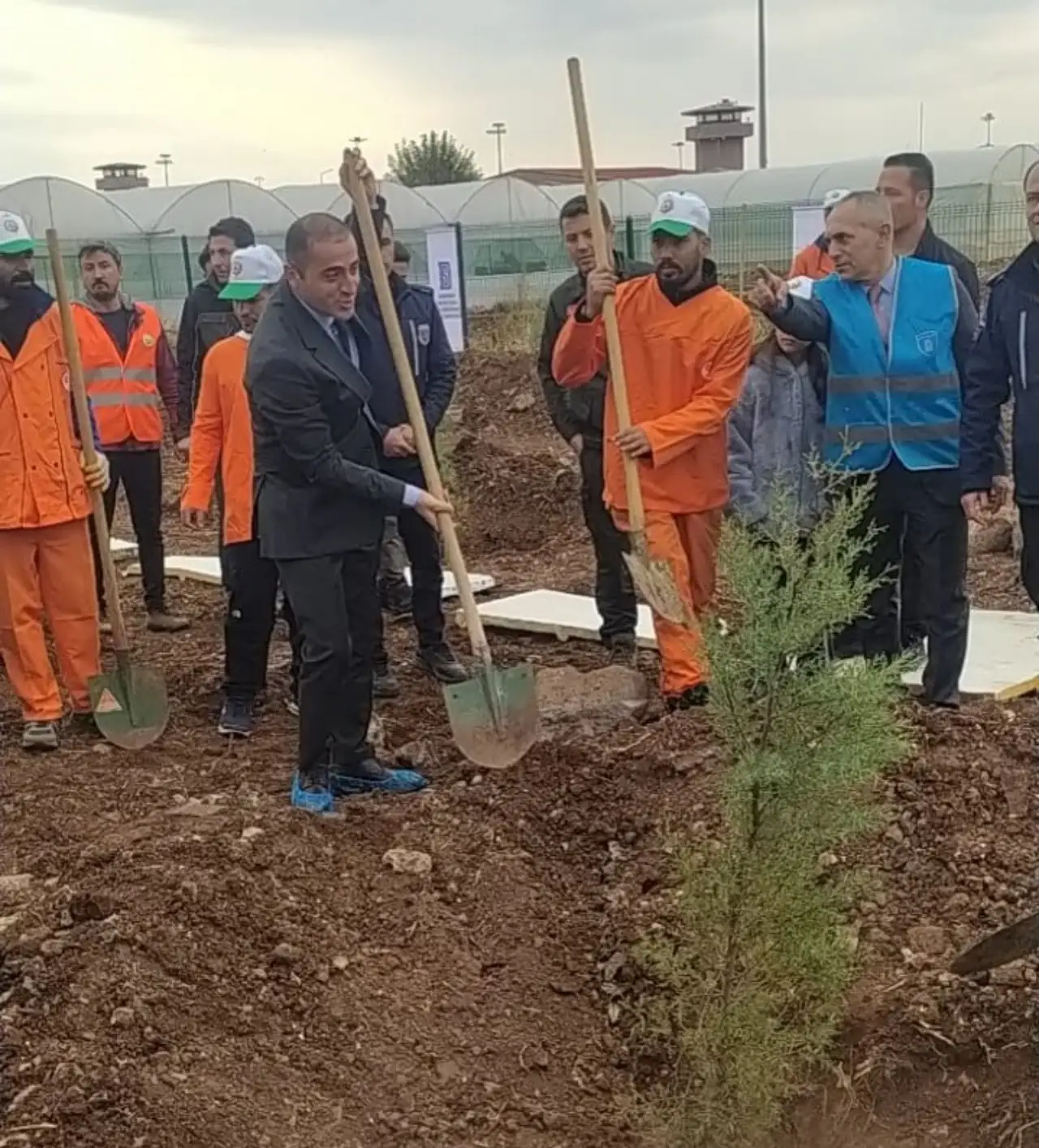 Siverek Cezaevinde Yerleşkesinde Fidanlar Toprakla Buluştu