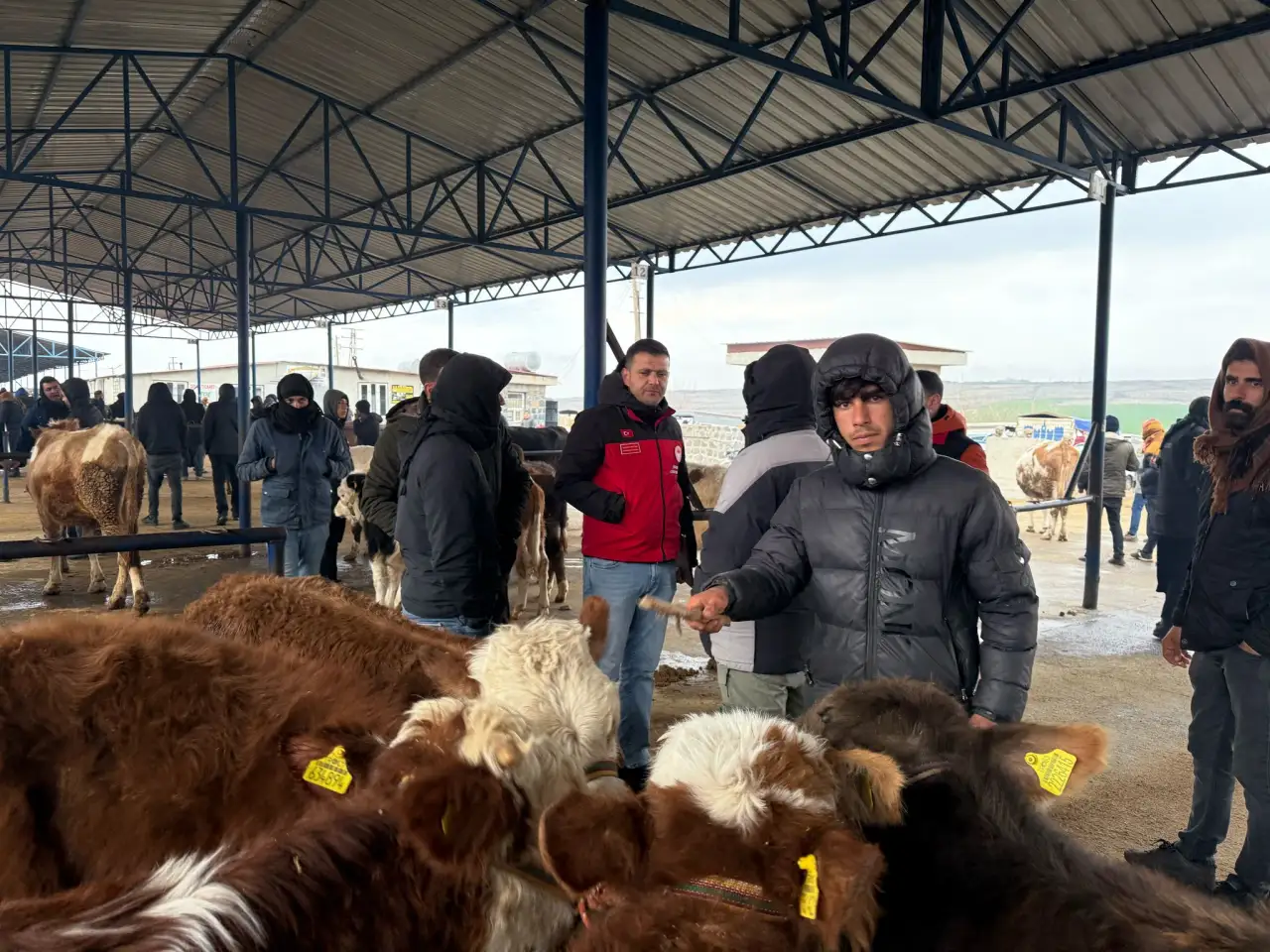  İlçe Tarım Müdürlüğünden Siverek Hayvan Pazarına  Denetim 