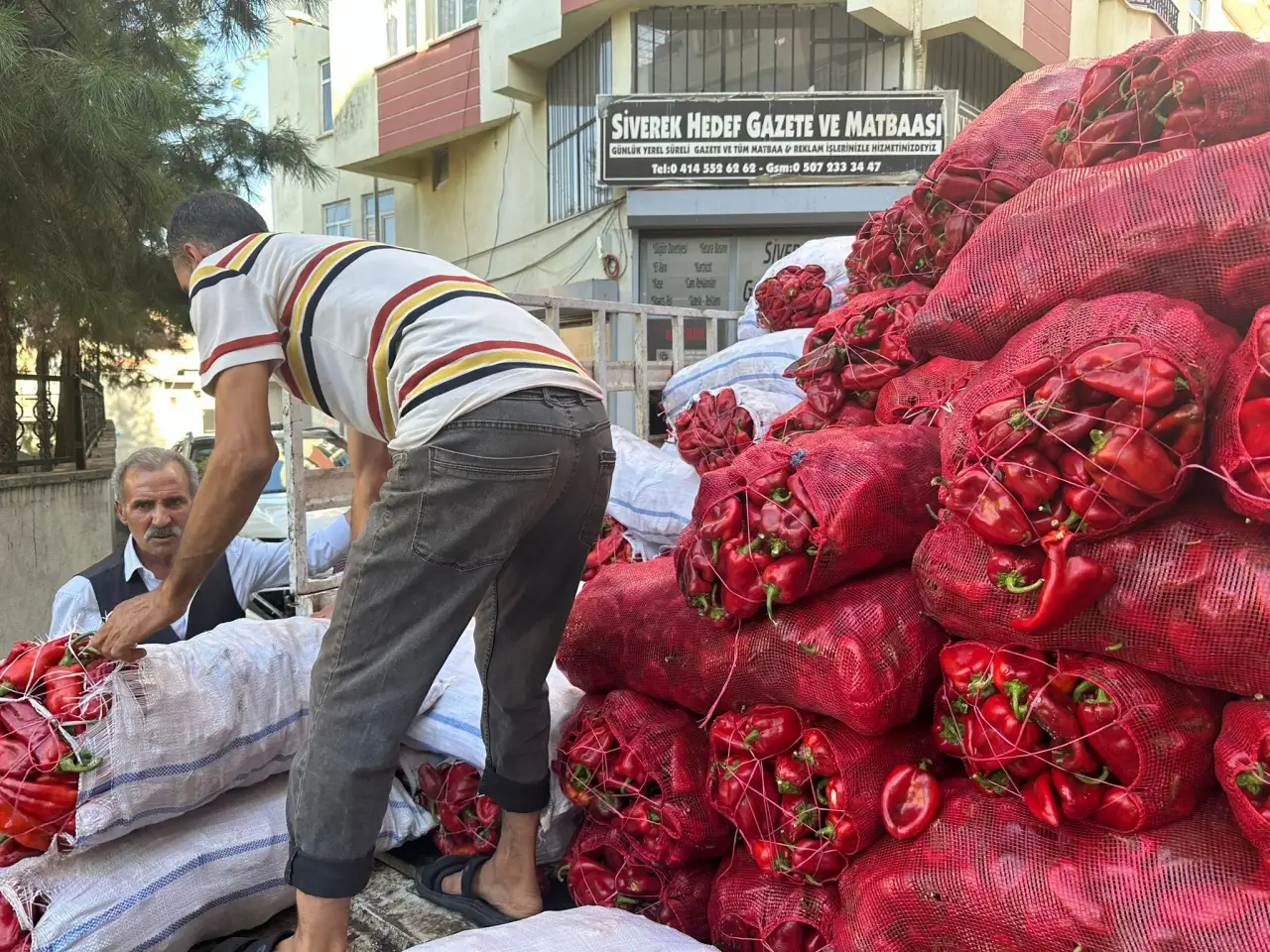 Siverek’te Kırmızı Biber Fiyatlarındaki Düşüş Vatandaşları Sevindirdi