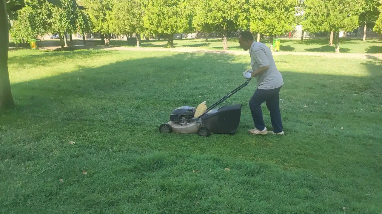 Siverek'te Vatandaşlara Daha Yeşil Bir Gelecek mi Sunuluyor