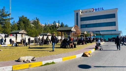 Sokak Köpeği Saldırısına Uğrayan Çocuk Tedavi Altına Alındı