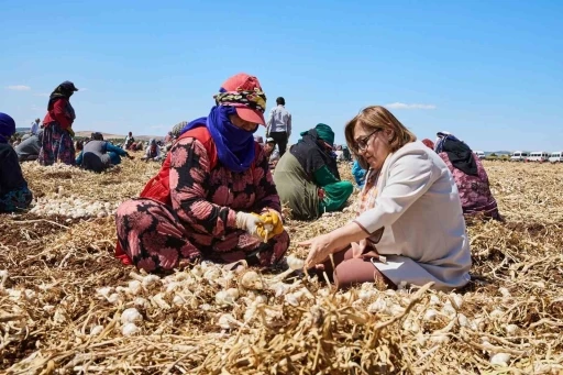 Tarım Zirvesi Başlıyor, Sektörün Öncüleri Buluşuyor