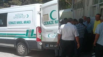 Trafik Kazası Araban'da Acı Bir Kayba Neden Oldu