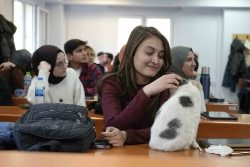 Üniversitesi’nin Sevilen Maskotu Labne Kedisi