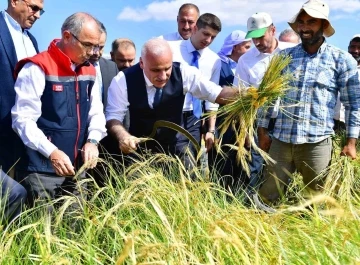 Vali Zorluoğlu'nun Hasatta Gösterdiği Performans, Diyarbakır Tarımının Geleceğine İşaret Ediyor