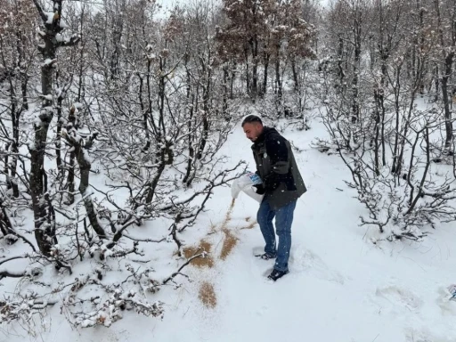 Yaban Hayvanlarına Kış Desteği