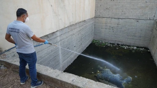 Yağışlar Öncesi Haşere Mücadelesi: