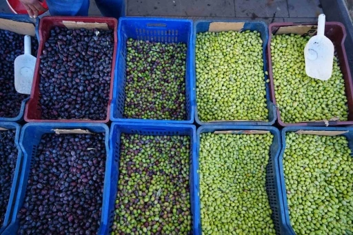 Yeni Mahsul Yeşil Zeytin Tezgahlarda: Fiyatlar 50 ile 80 TL Arasında