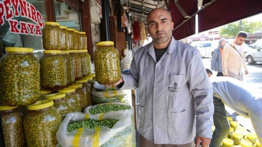 Yeşil Zeytin Hasadı Başladı: Tezgahlarda Yerini Aldı