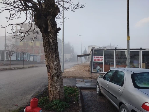 Yoğun Sis Trafiği Olumsuz Etkiledi