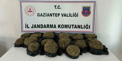 Yolcu Otobüsünün Bagajında 18,5 Kilogram Skunk Ele Geçirildi