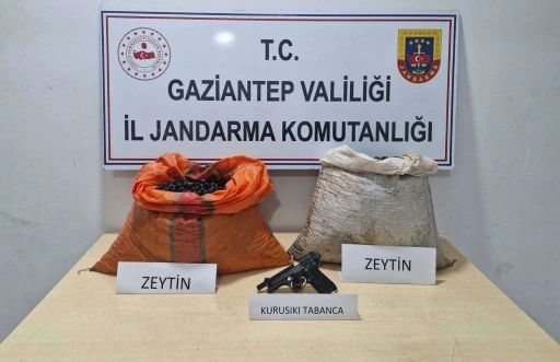 Zeytin Hırsızlığı Suçüstü Operasyonunda Şüpheli Tutuklandı